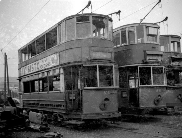 Picture number 26173