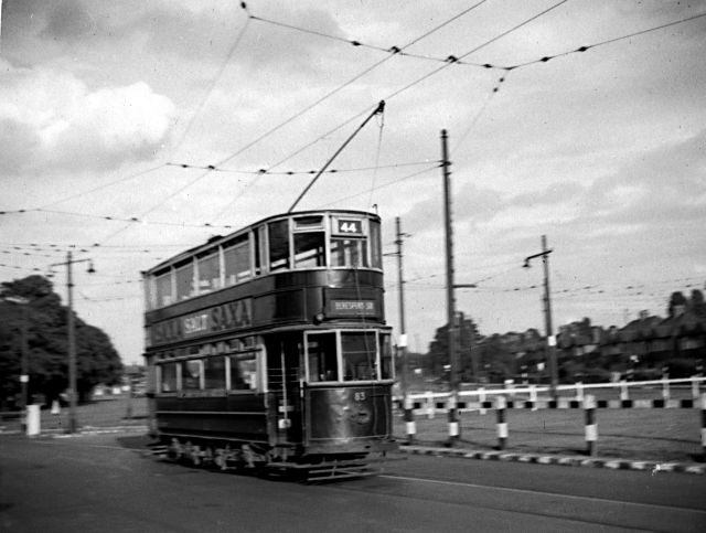 Picture number 26202